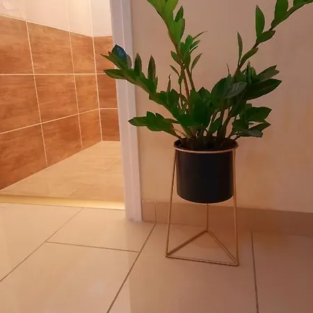 Emese Apartman Apartment Szeged